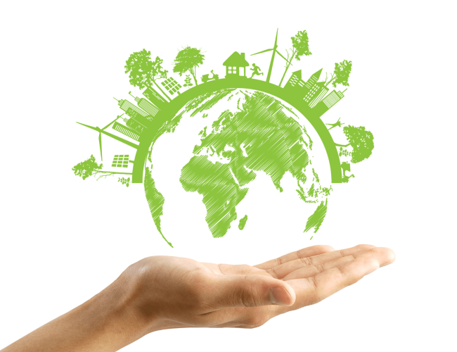 Consumo Consciente: A Reflexão de Ernani Rezende Kuhn para a Sociedade